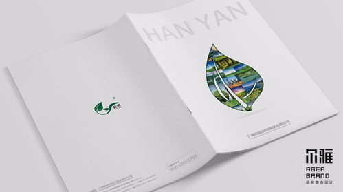 廣州設(shè)計(jì)公司 專(zhuān)業(yè)企業(yè)宣傳畫(huà)冊(cè)與產(chǎn)品宣傳畫(huà)冊(cè)設(shè)計(jì)服務(wù)
