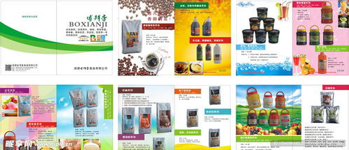 融合科技與美學(xué) 食品畫(huà)冊(cè)設(shè)計(jì)與定制化軟件開(kāi)發(fā)的雙重創(chuàng)新